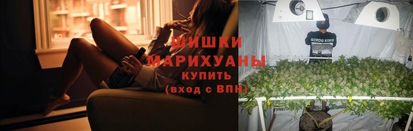 ПСИЛОЦИБИНОВЫЕ ГРИБЫ Алексеевка