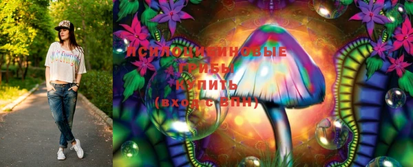 ПСИЛОЦИБИНОВЫЕ ГРИБЫ Алексеевка