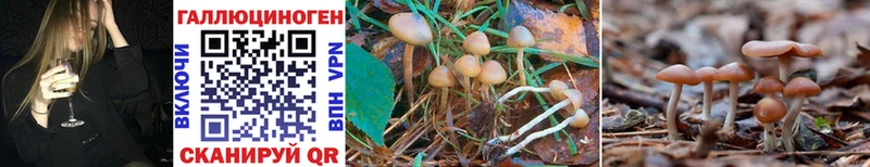 Галлюциногенные грибы GOLDEN TEACHER Удомля